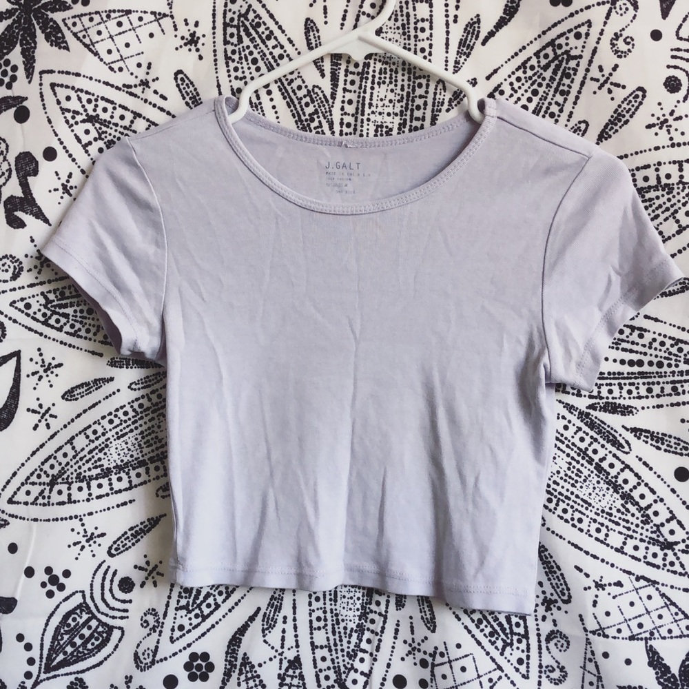 Brandy Melville Lavender Crop Top